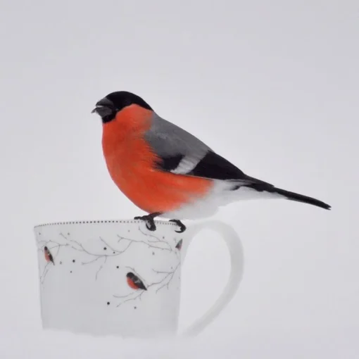 TALLERKEN 27 CM